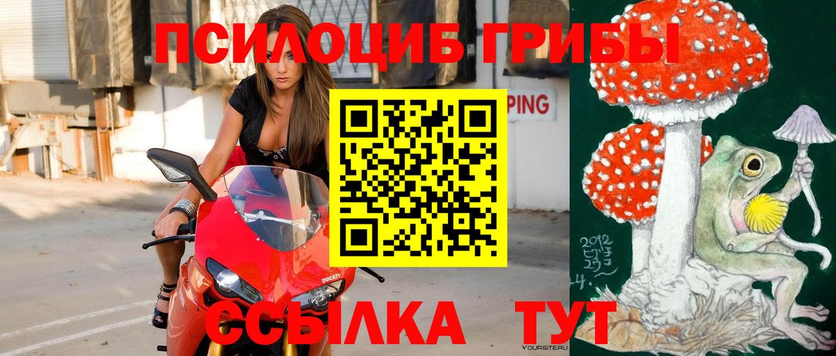 Фрязино  Псилоцибиновые грибы мухоморы  Вход с VPN  Галлюциногенные грибы Magic Shrooms 